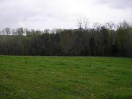 Greenlee Rd
