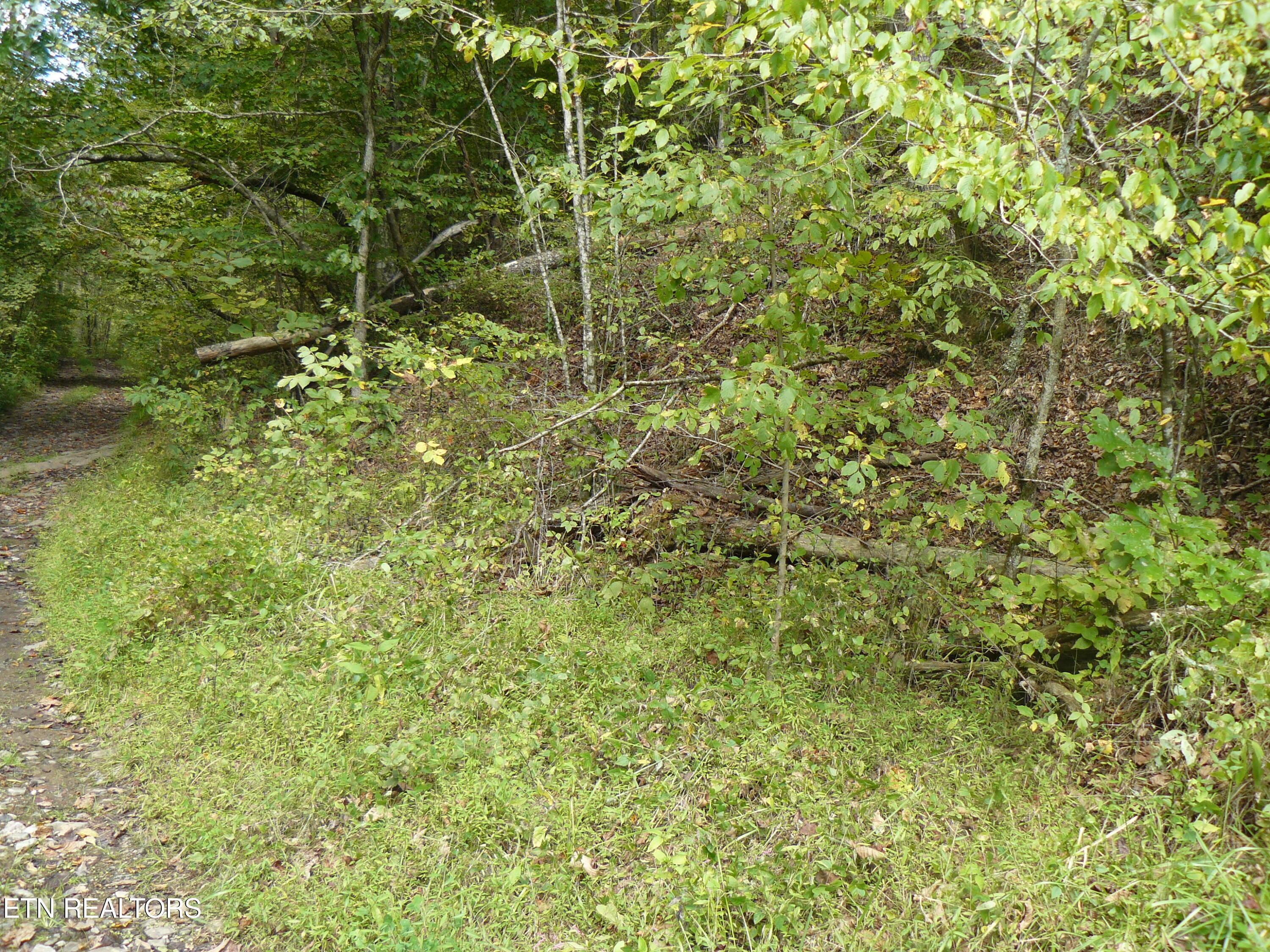 Image 2: P1430436
