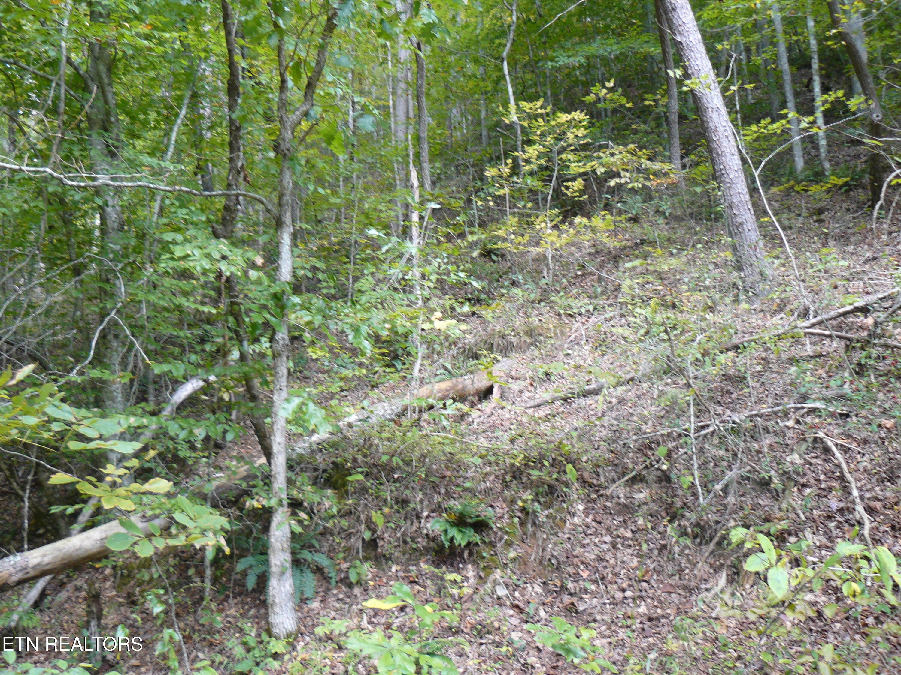 Image 3: P1430437