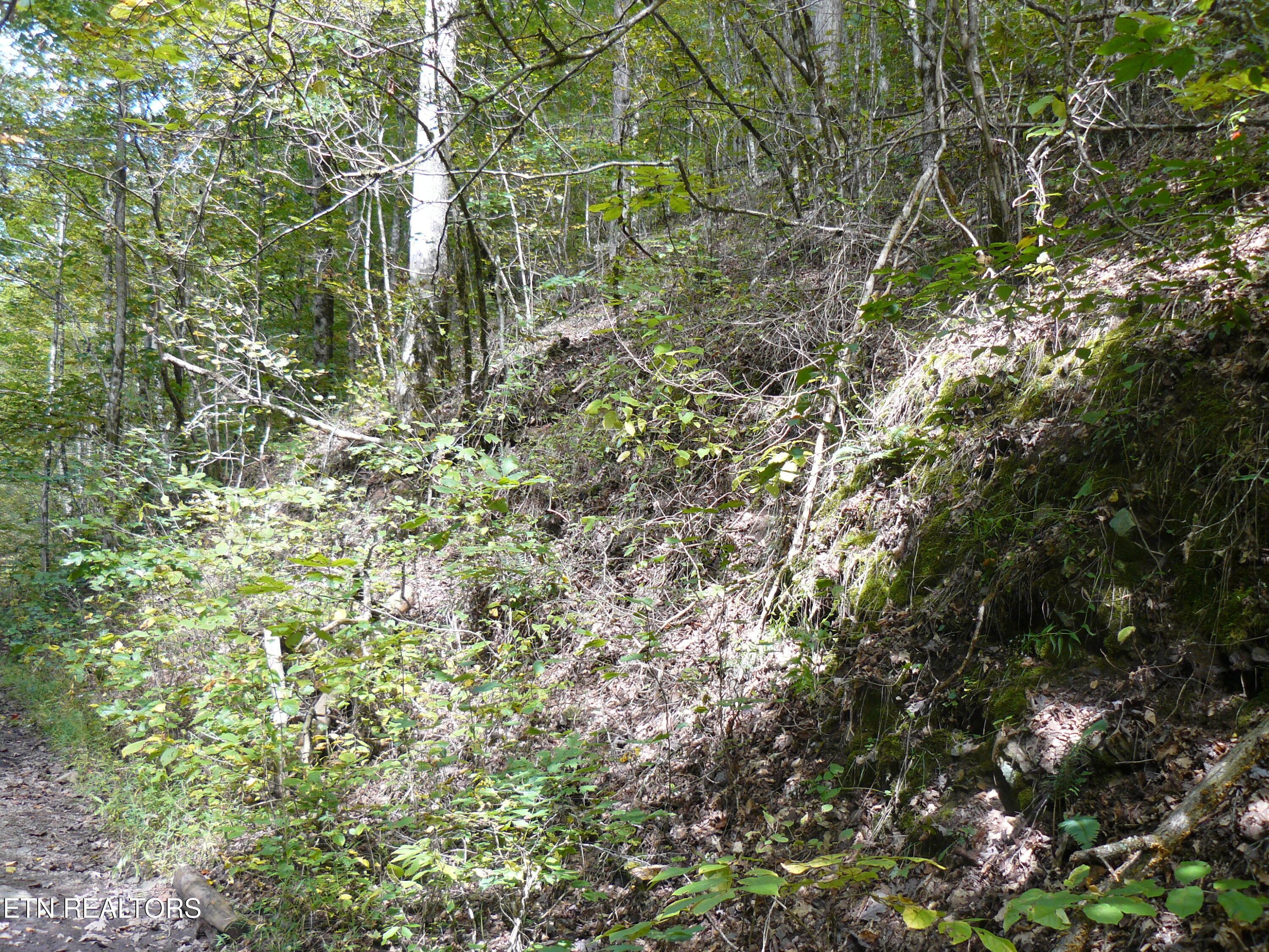Image 4: P1430438