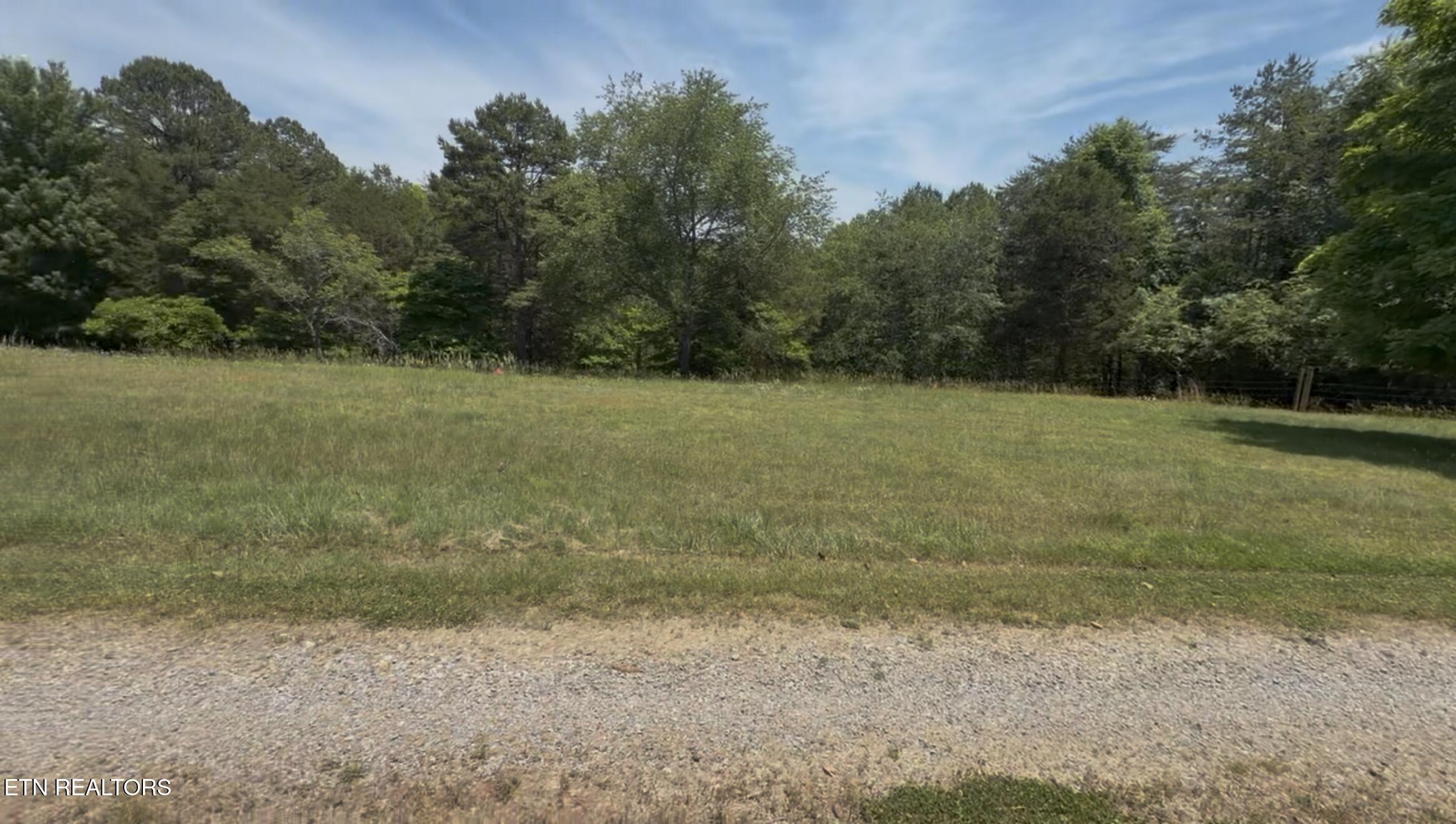 Image 4: Lot 16