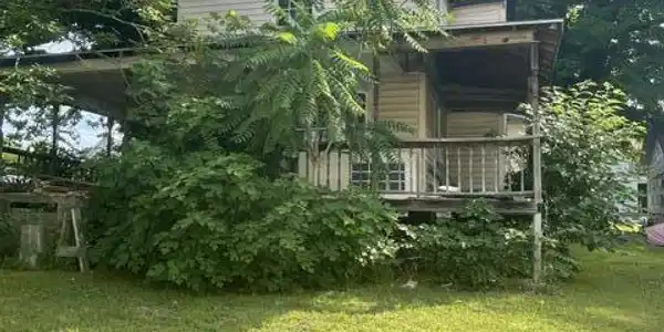 Image 2: image2