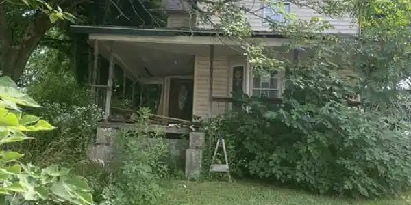 Image 3: image0