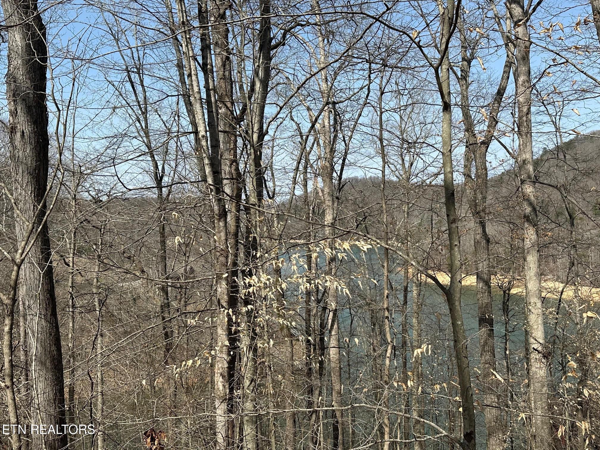 Image 3: 3Lake View (2) Lot 51 031326