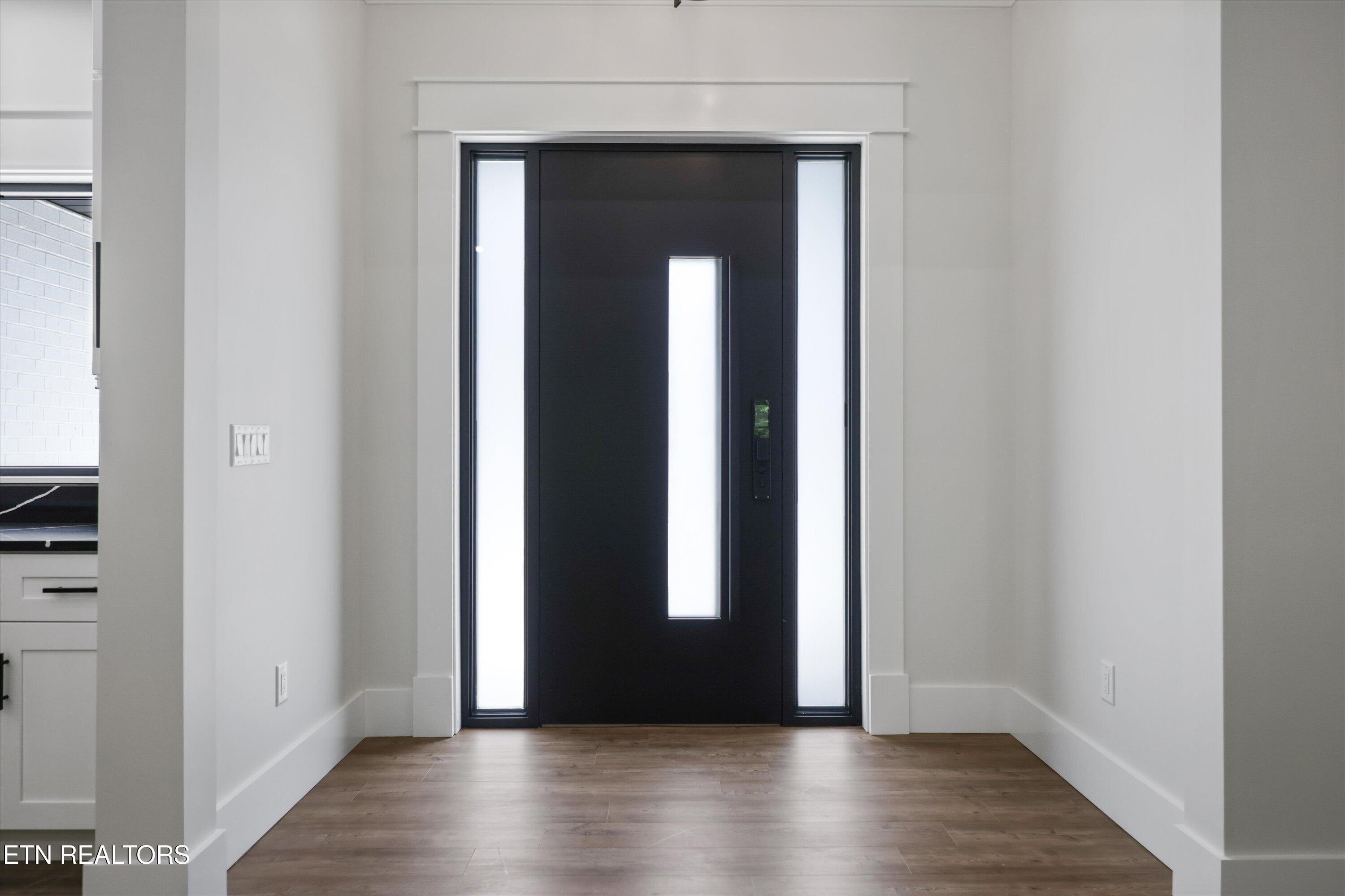 Image 1: High End Door