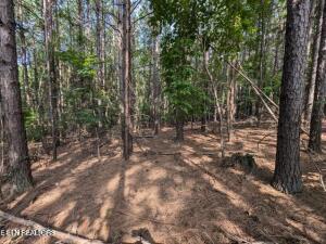 Image 3: juniper lake access 6