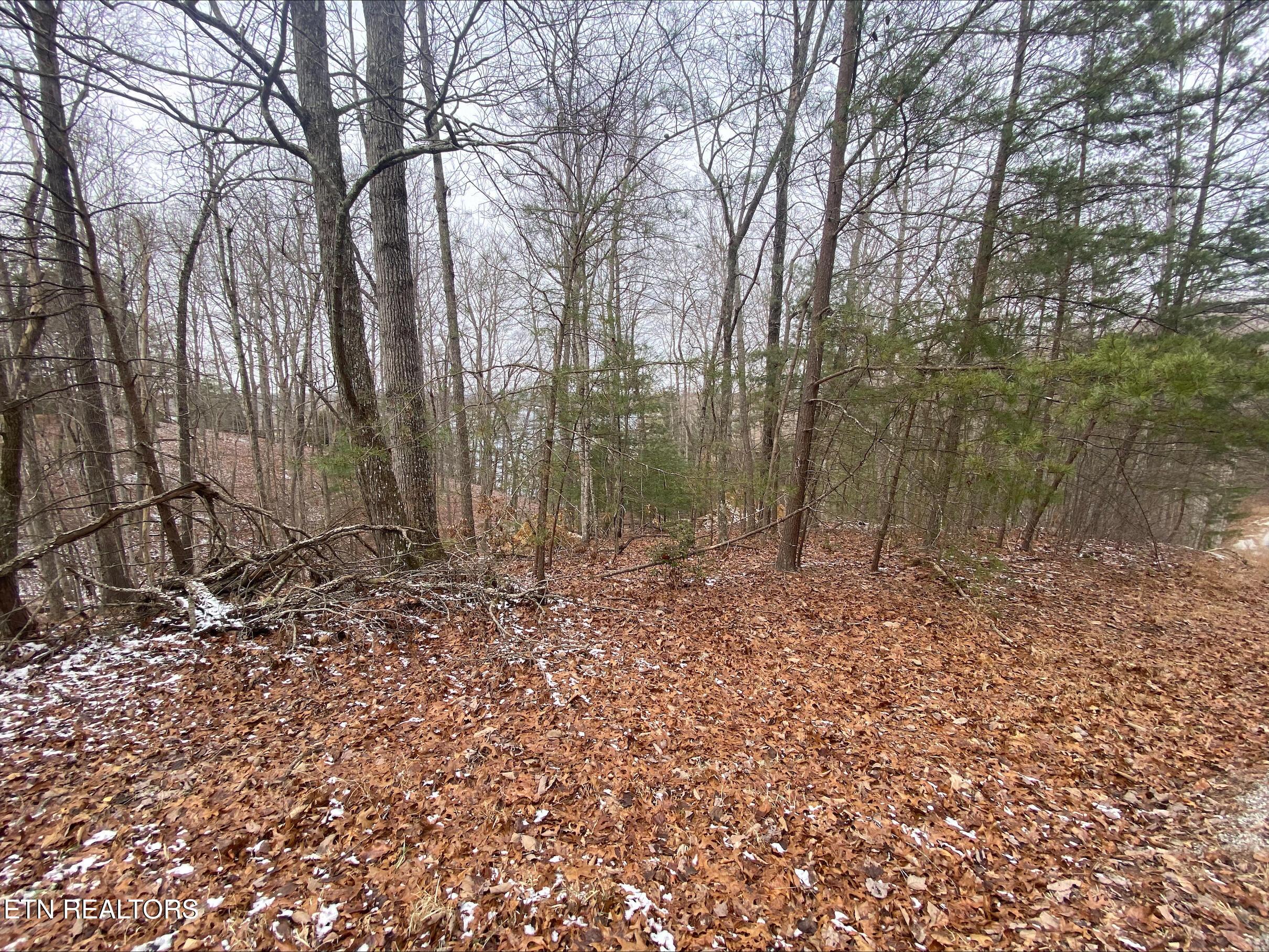 Image 3: processed-B4C52679-9B53-4150-8D55-1CEA8E