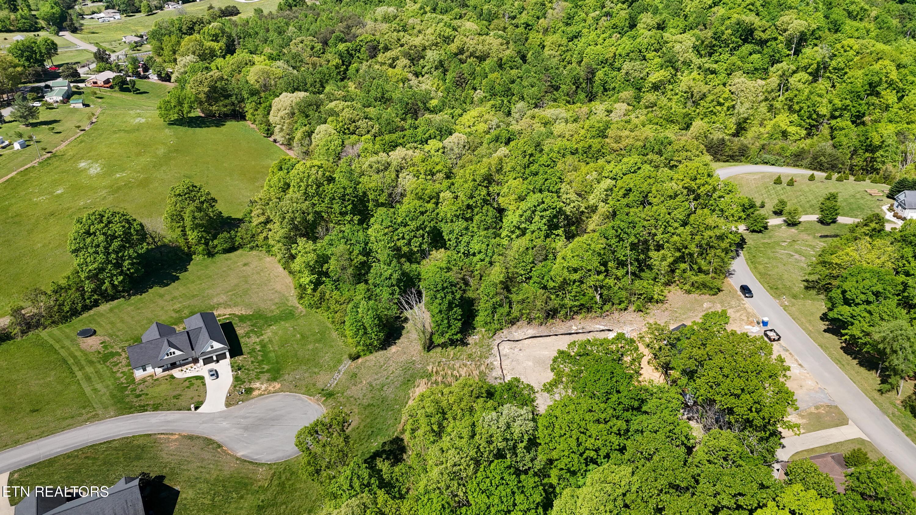 Image 2: dji_fly_20260421_111948_0486_17767931102