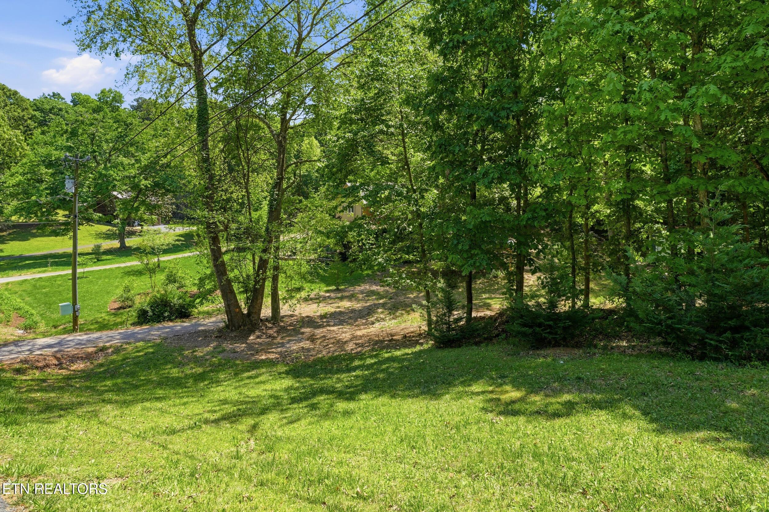 Image 4: brooksview_rd_lot_003