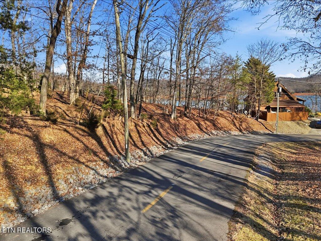 Image 4: 339 Chelaque Way - 4