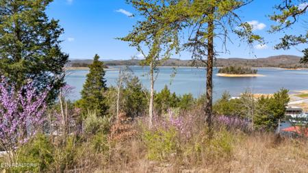 Lot 765 Russell Brothers Rd