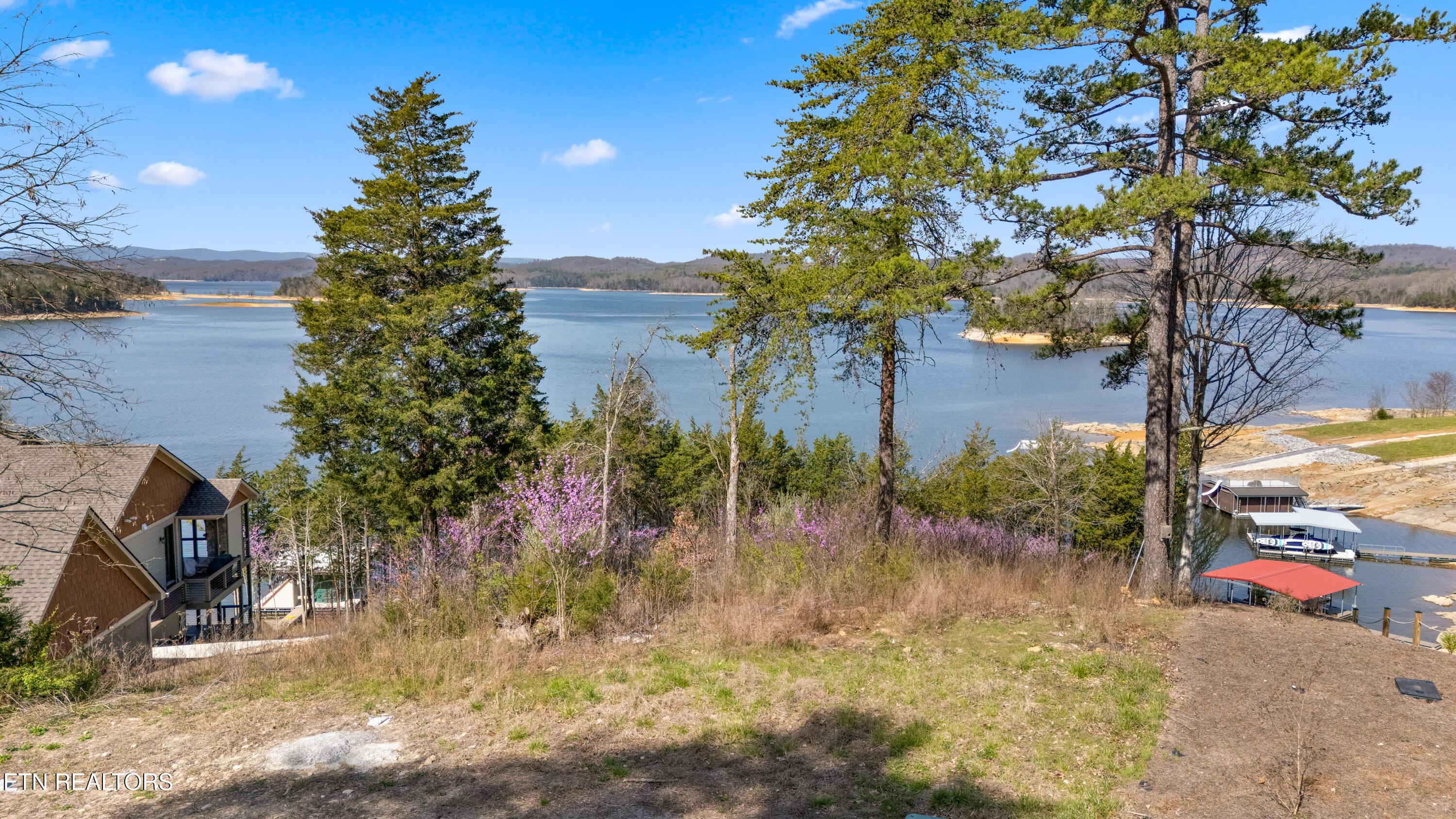 Image 3: View from top of lot