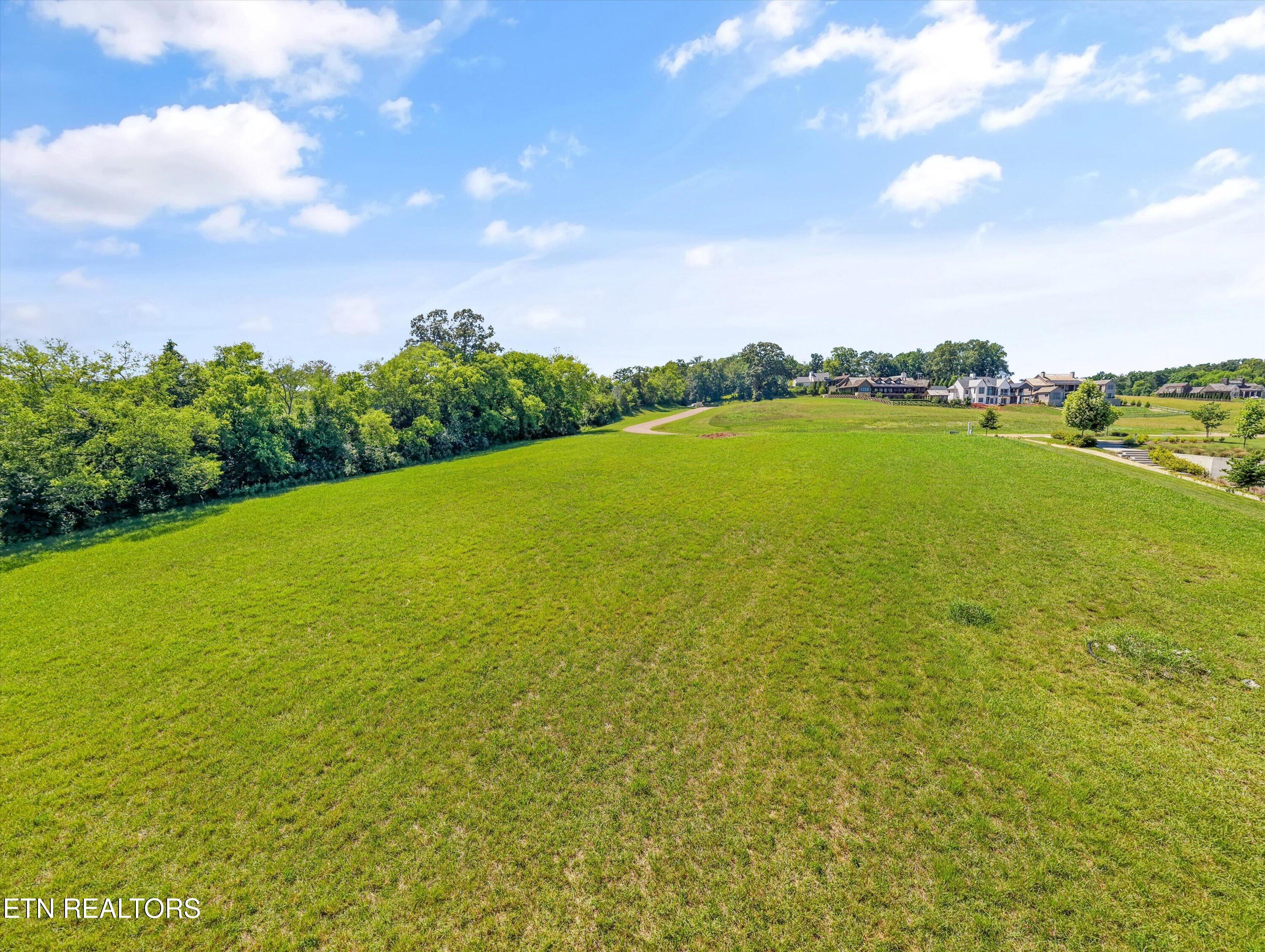 Image 4: 05-Albion Way Lot 310 03