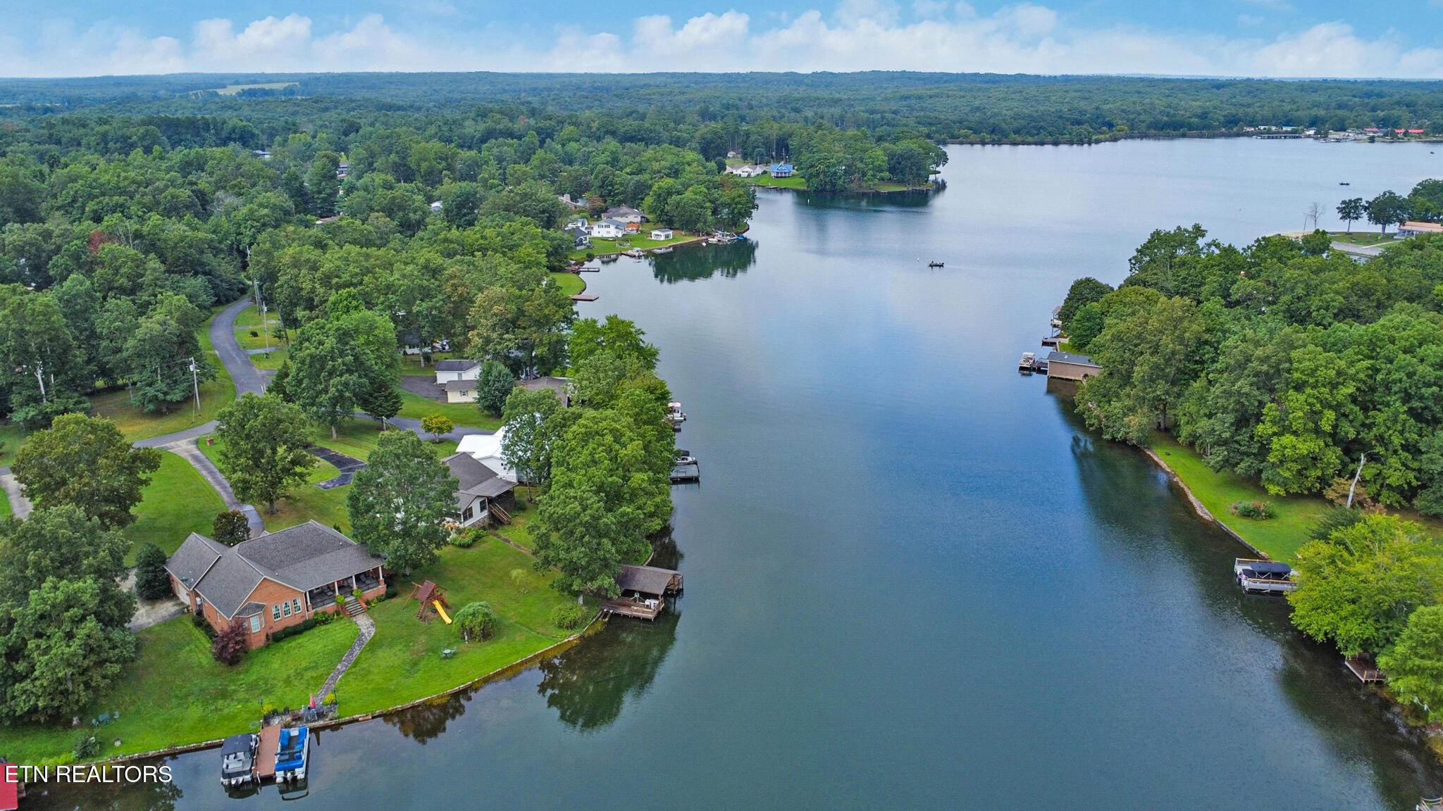 Image 1: Great Buy on Lake Tansi Lakefront