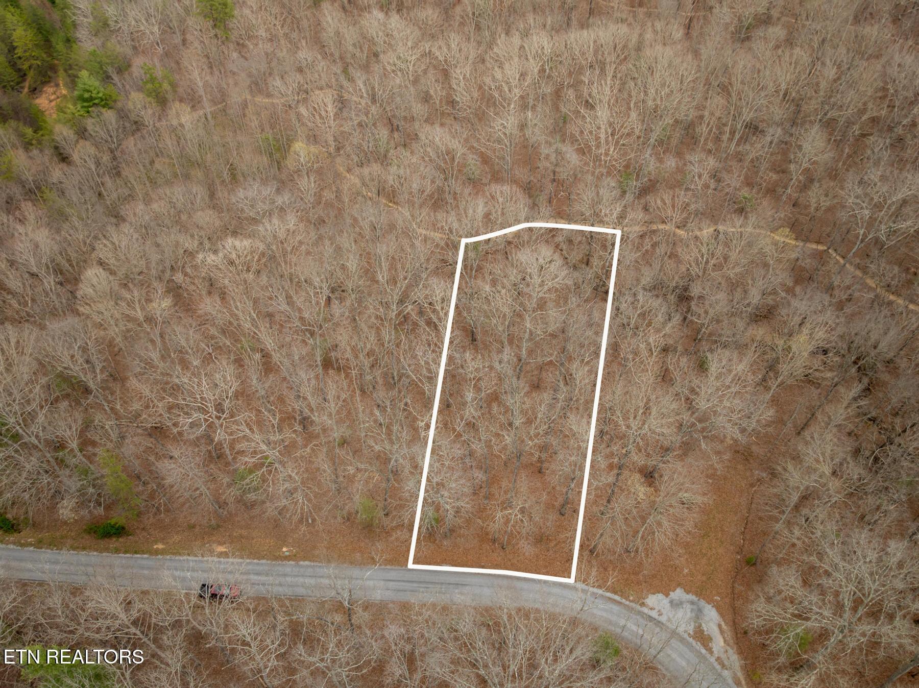 Image 3: 131 Hunterwood Ln
