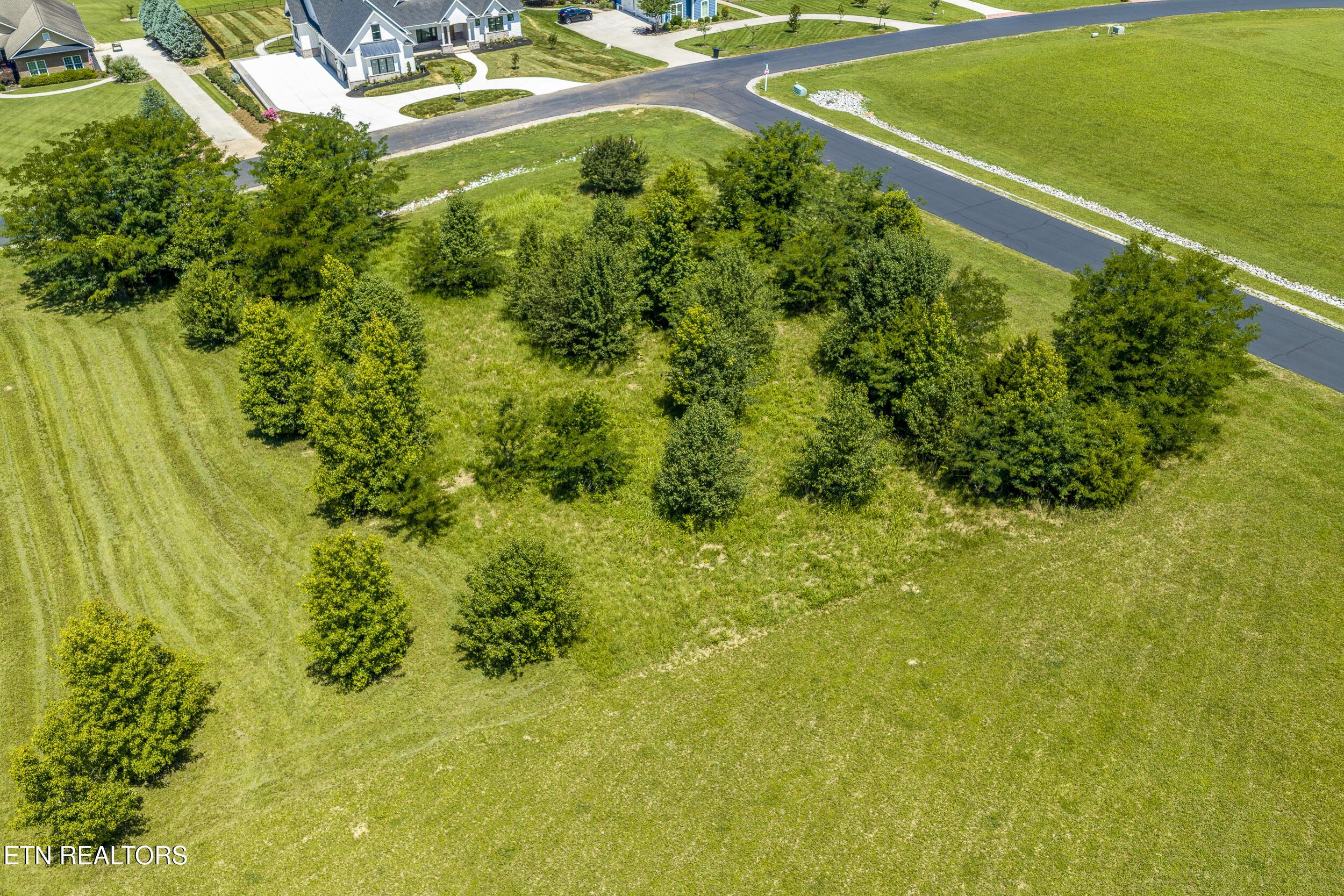 Image 4: DJI_20260702122255_0304_D-HDR