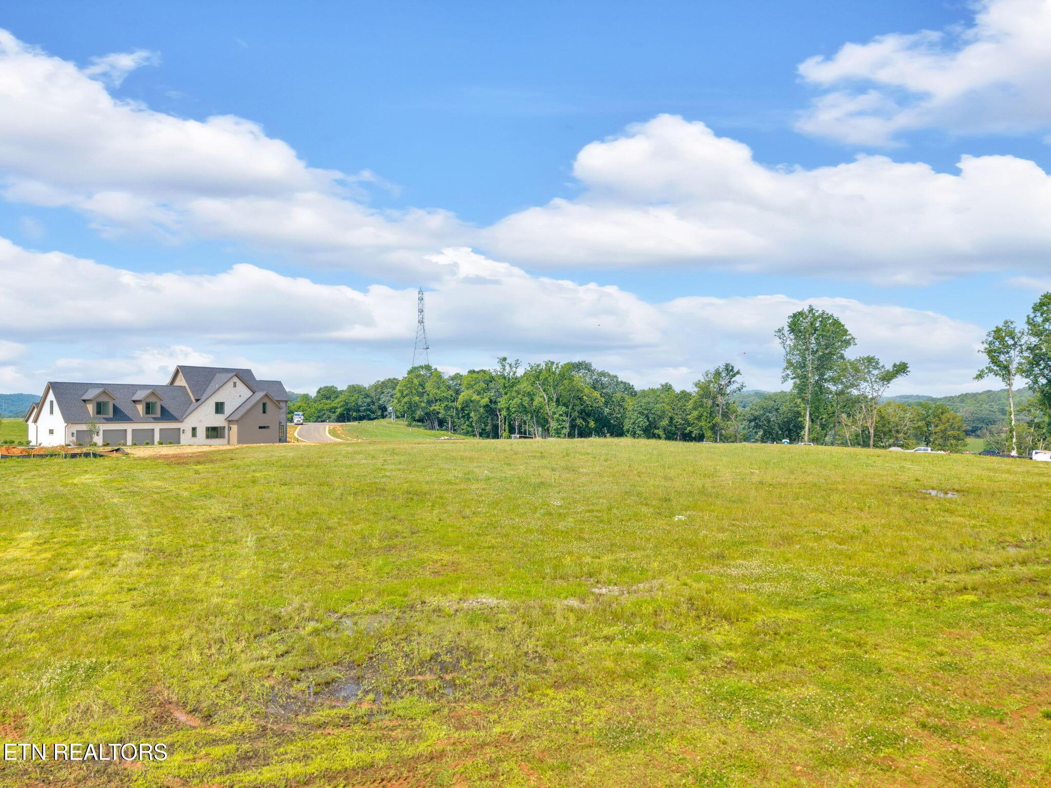 Image 3: 2-web-or-mls-DJI_20250611110633_0038_D