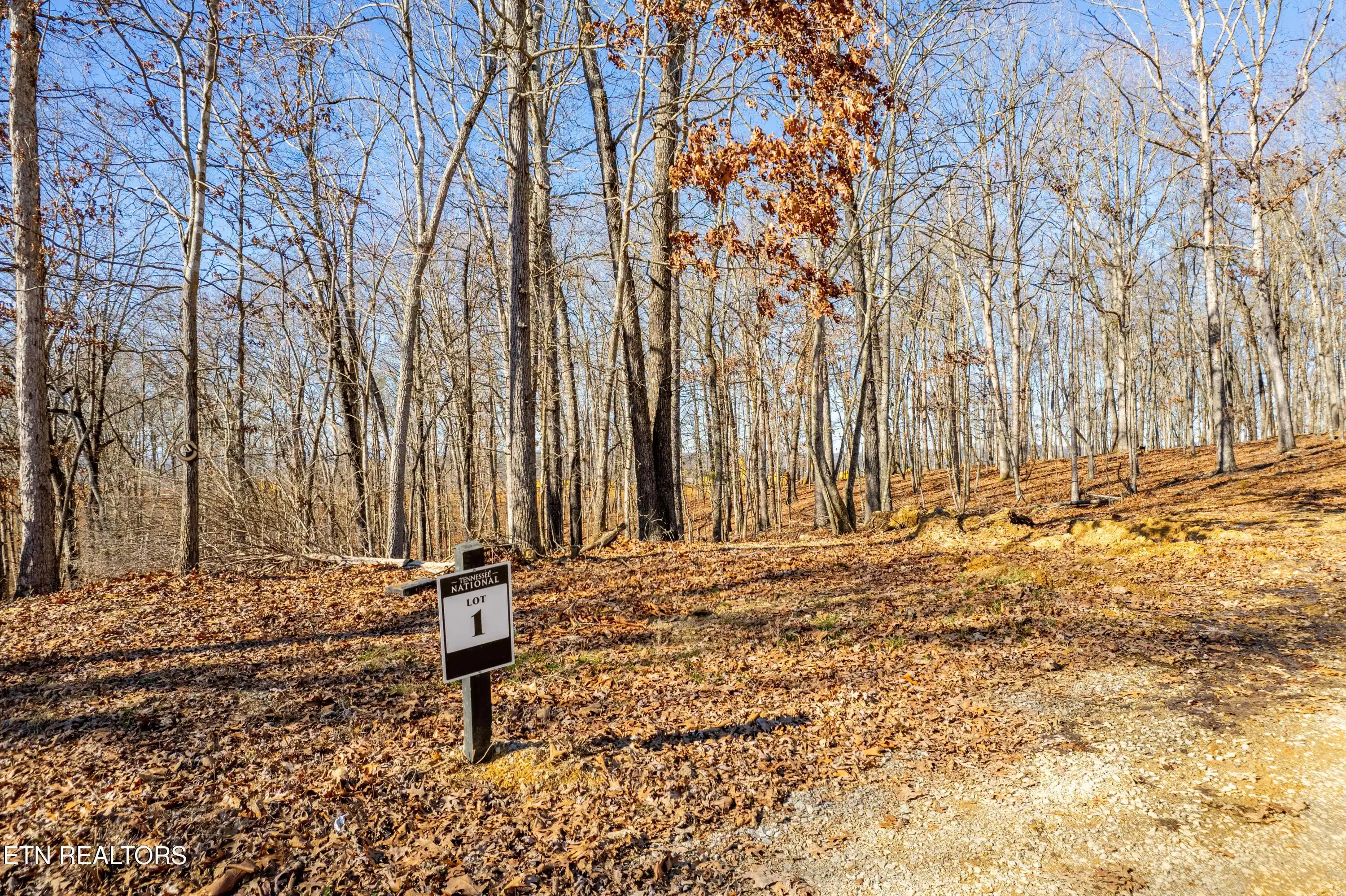 Image 1: A winter view of the 2501 Old Dogwood