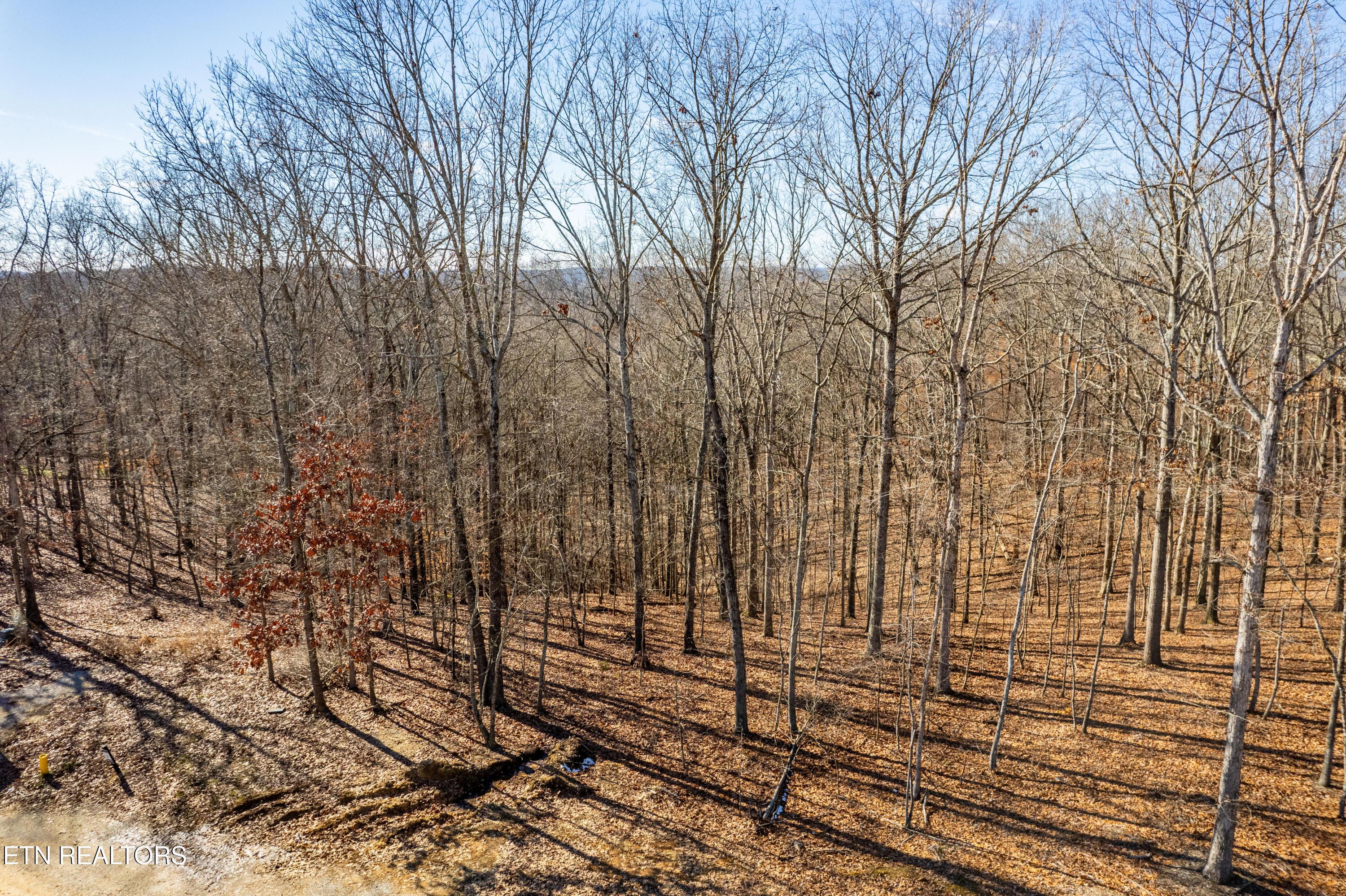 Image 2: Winter month property shot