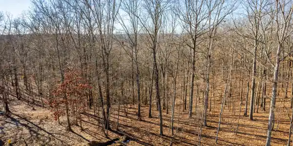 Image 2: Winter month property shot
