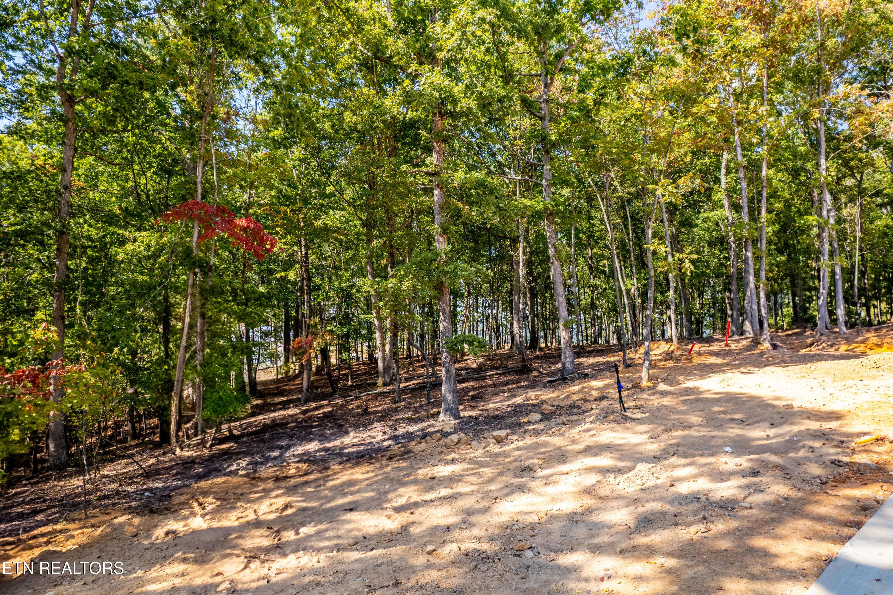 Image 4: Over 1 acre