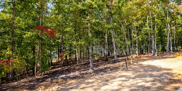 Image 4: Over 1 acre