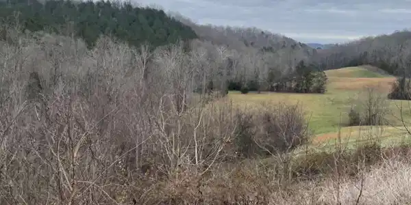 Lot 10 Mill Drive