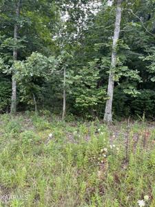 5004 Pawnee Rd
