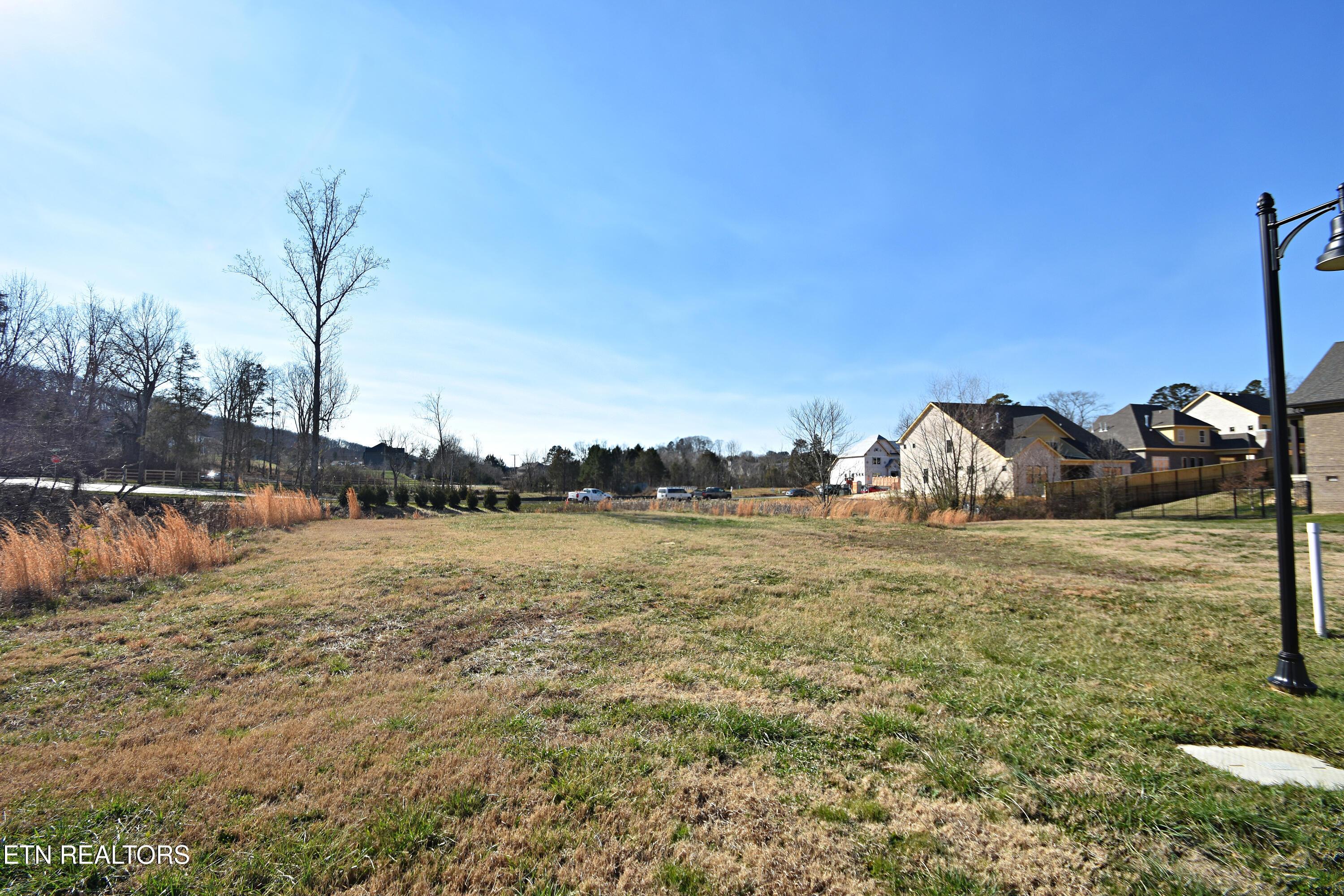 Image 3: DSC_7348