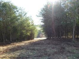 165 Mallard Drive 544