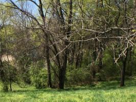 Lot 50 Northshore Drive 50