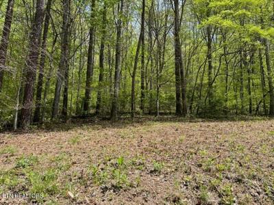 Lot 1 Cabin Rd