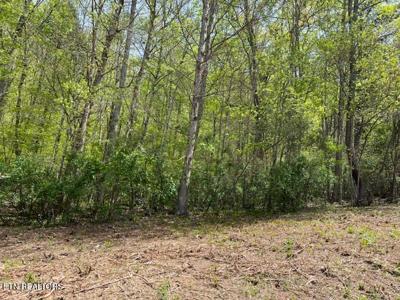 Lot 2 Cabin Rd