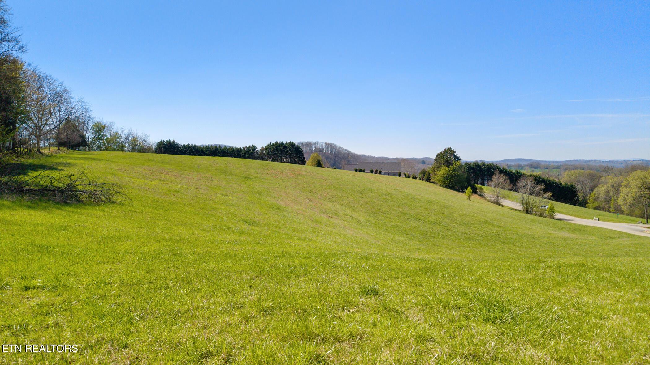Image 4: dji_20260319151506_0076_d