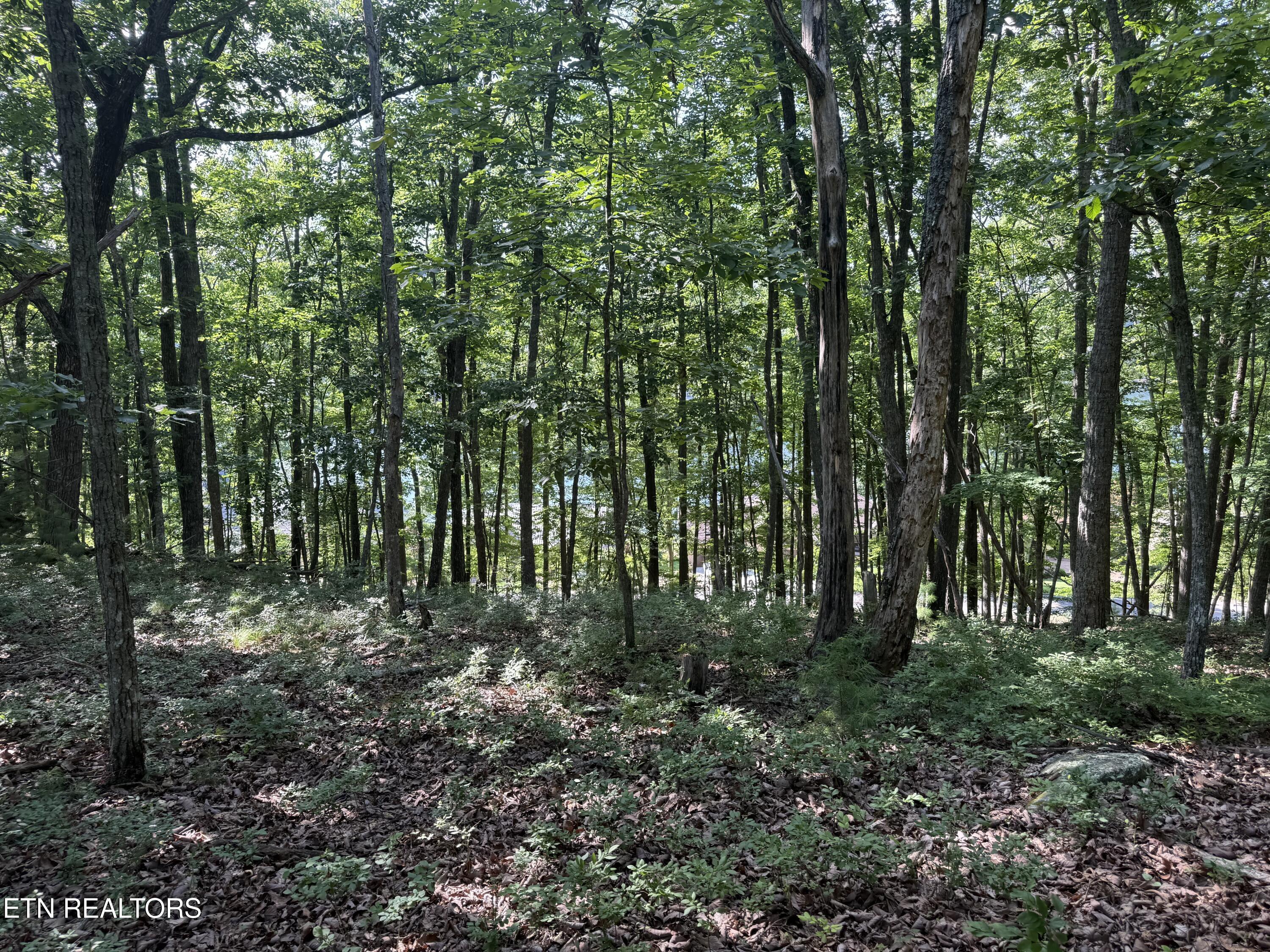 Image 3: IMG_7991