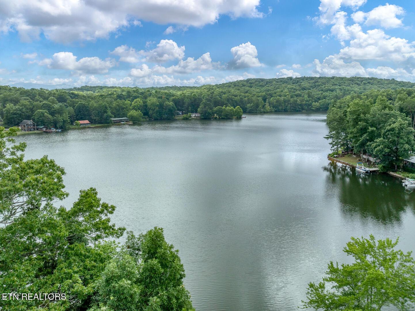 Image 4: DJI_0644 (1)