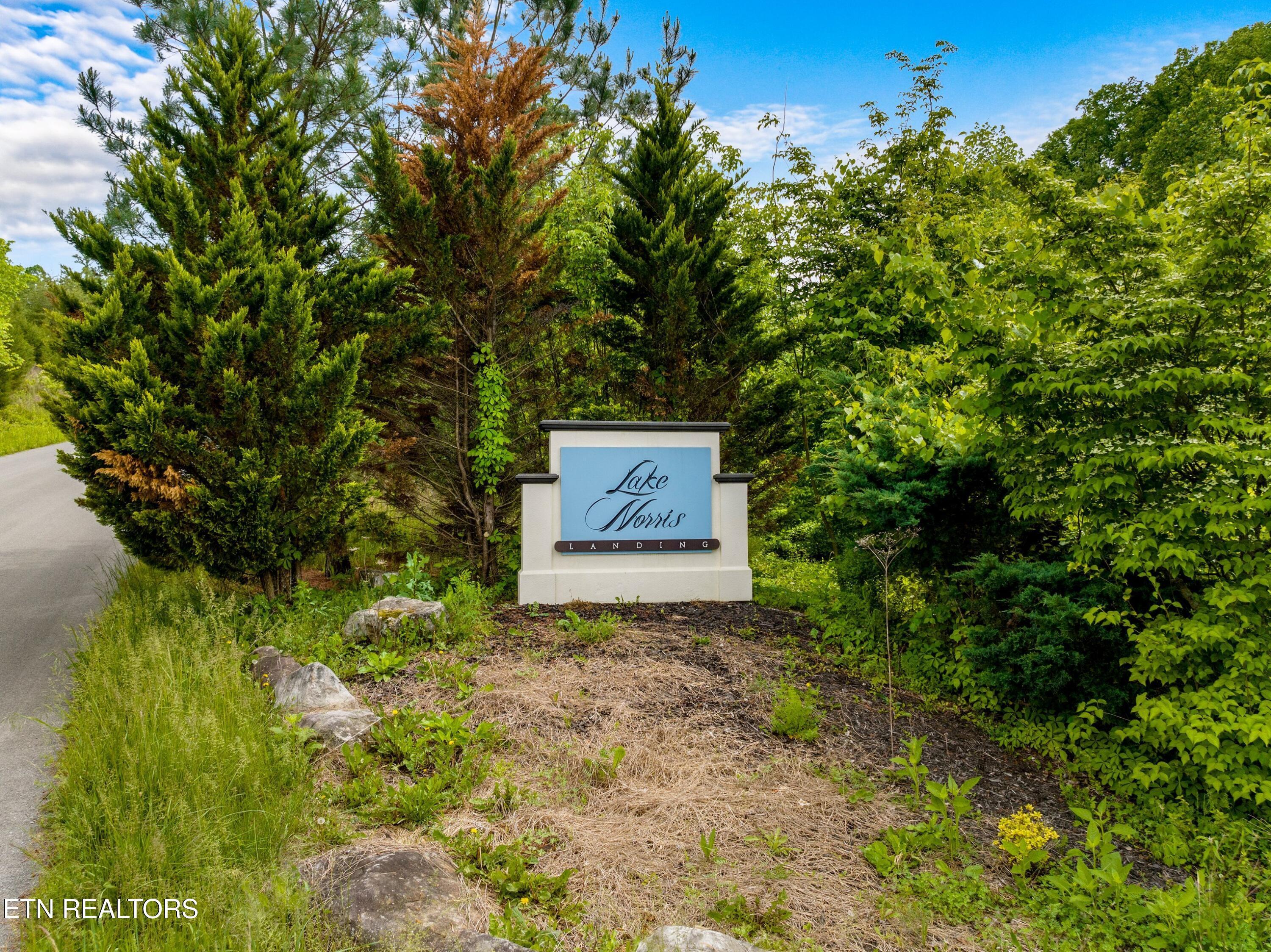 Image 2: 002-LongshoreDrive-Lot11-TN-37879-SMALL