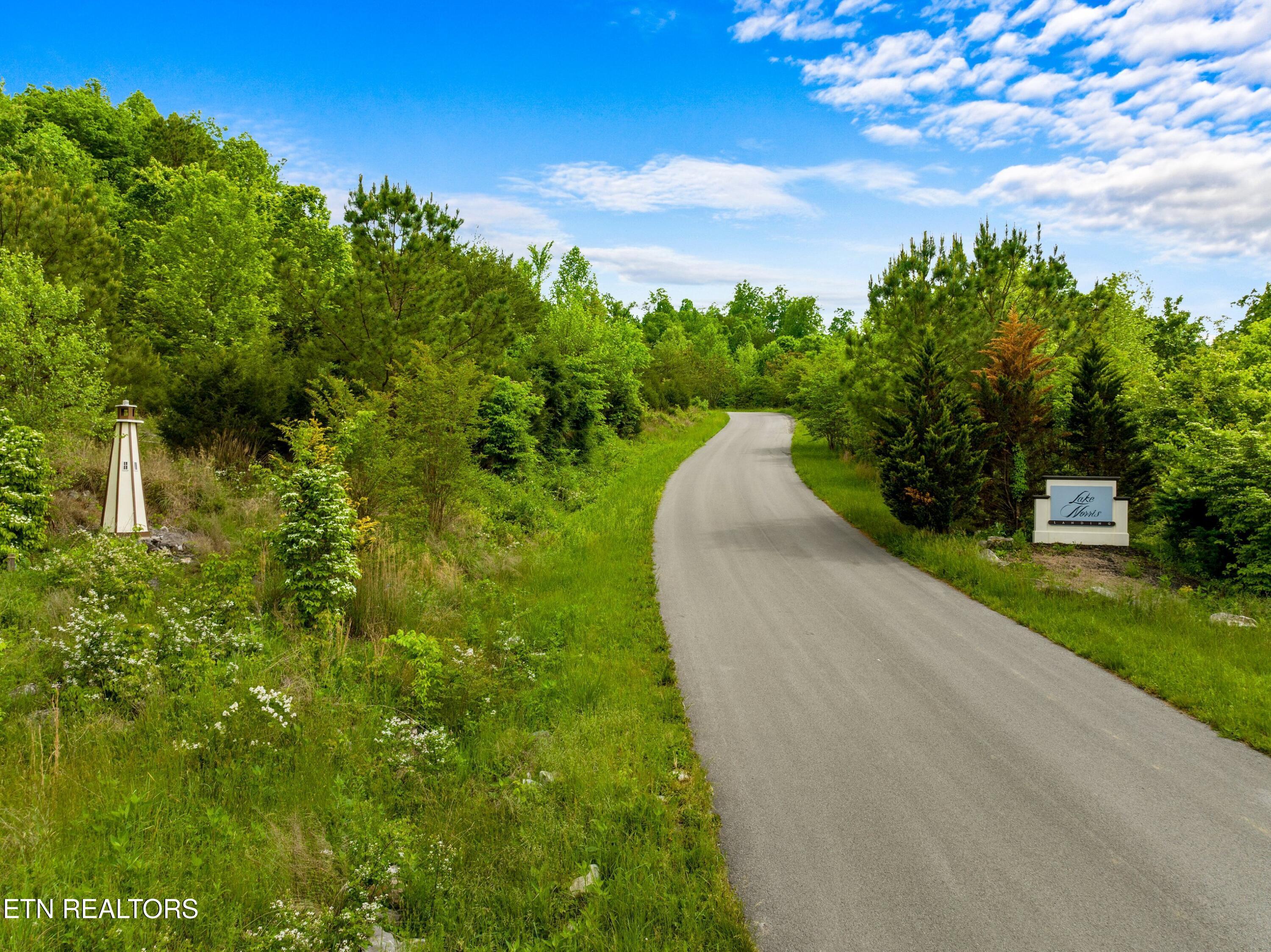 Image 4: 004-LongshoreDrive-Lot11-TN-37879-SMALL