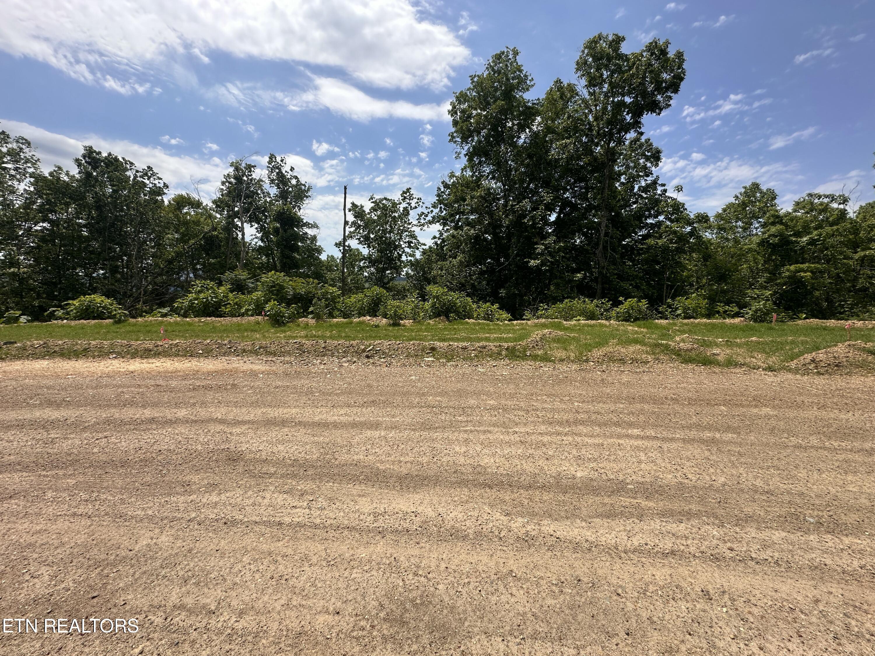 Image 1: Lot 100 Gl