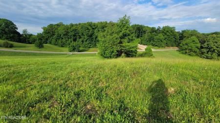 Shiloh Springs Rd