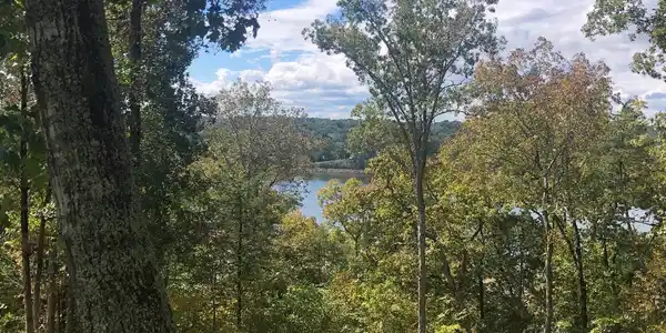 Image 2: Newport Lot
