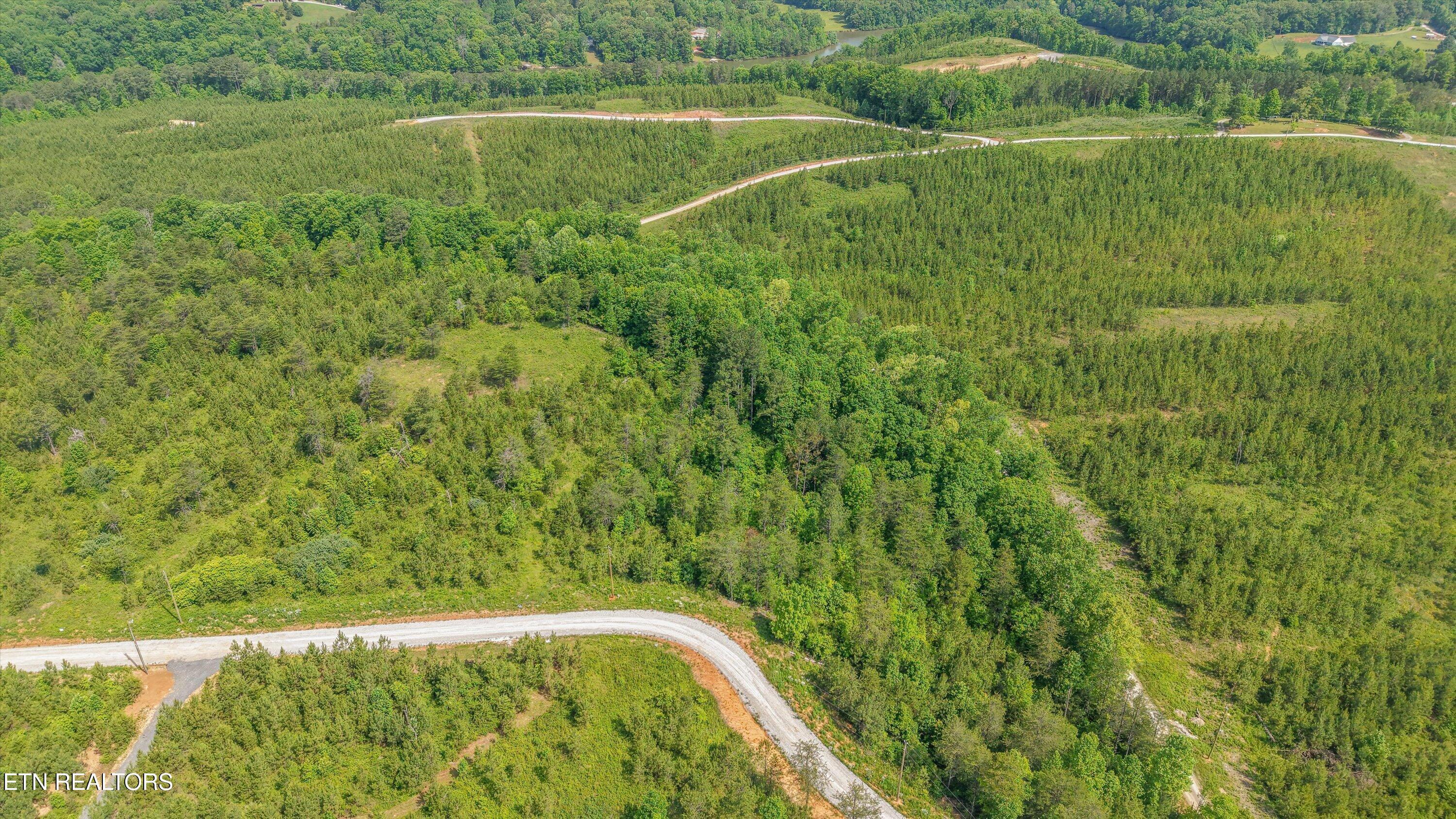 Image 4: Lot 87