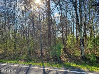 Lot 1 Highway 304