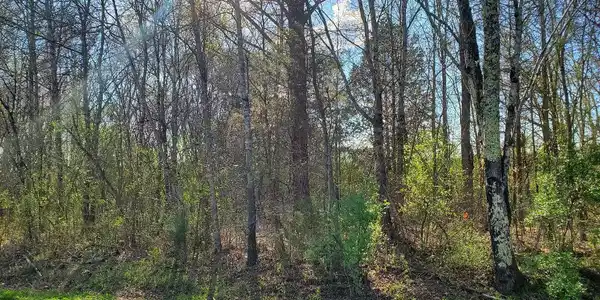 Lot 1 Highway 304