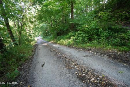 Holiday Haven Rd