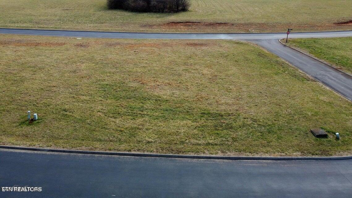 Image 3: 110 whip 4