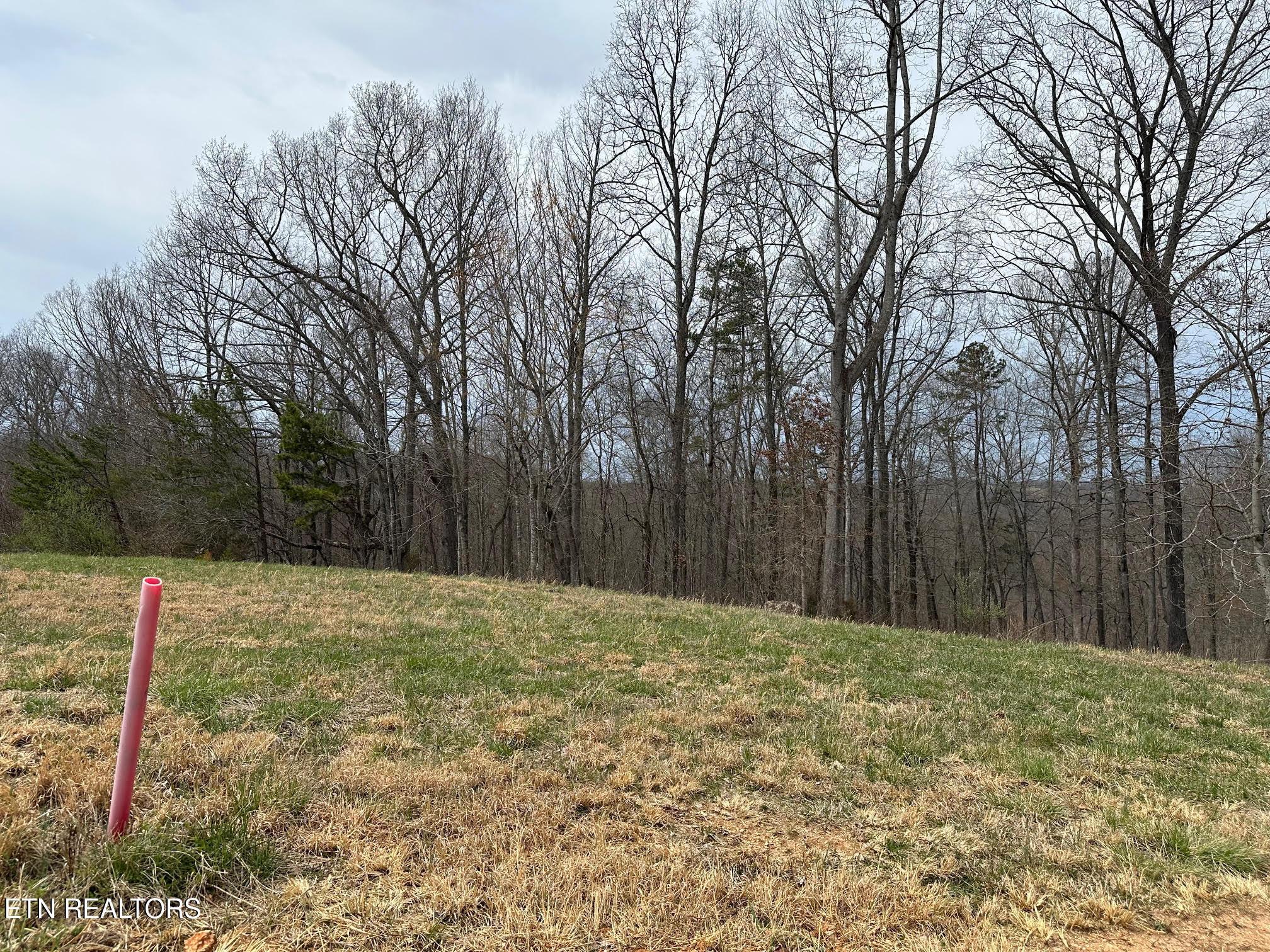 Image 4: Lot 605 11