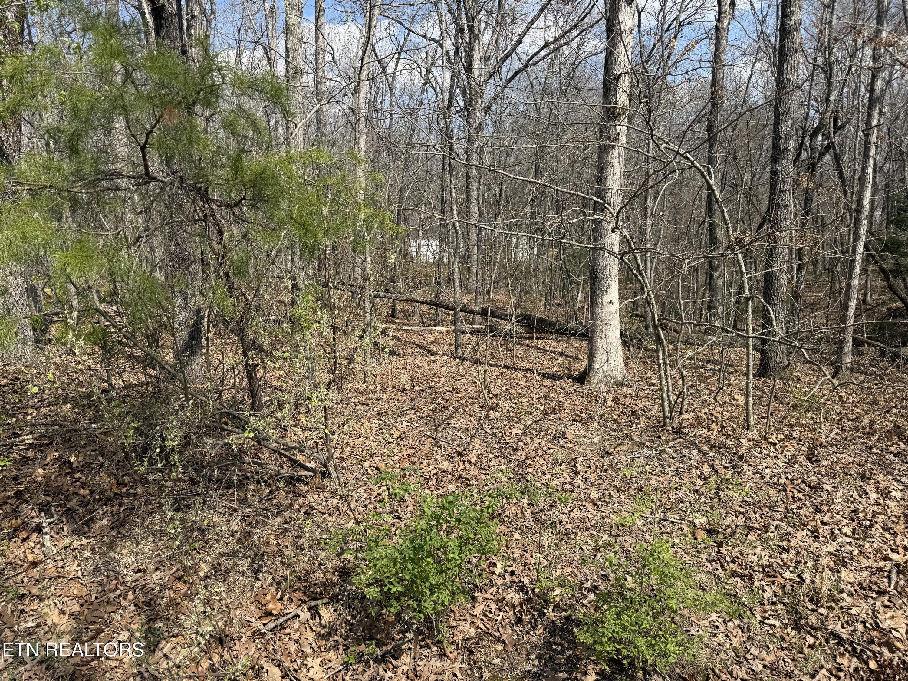 Image 2: IMG_7056