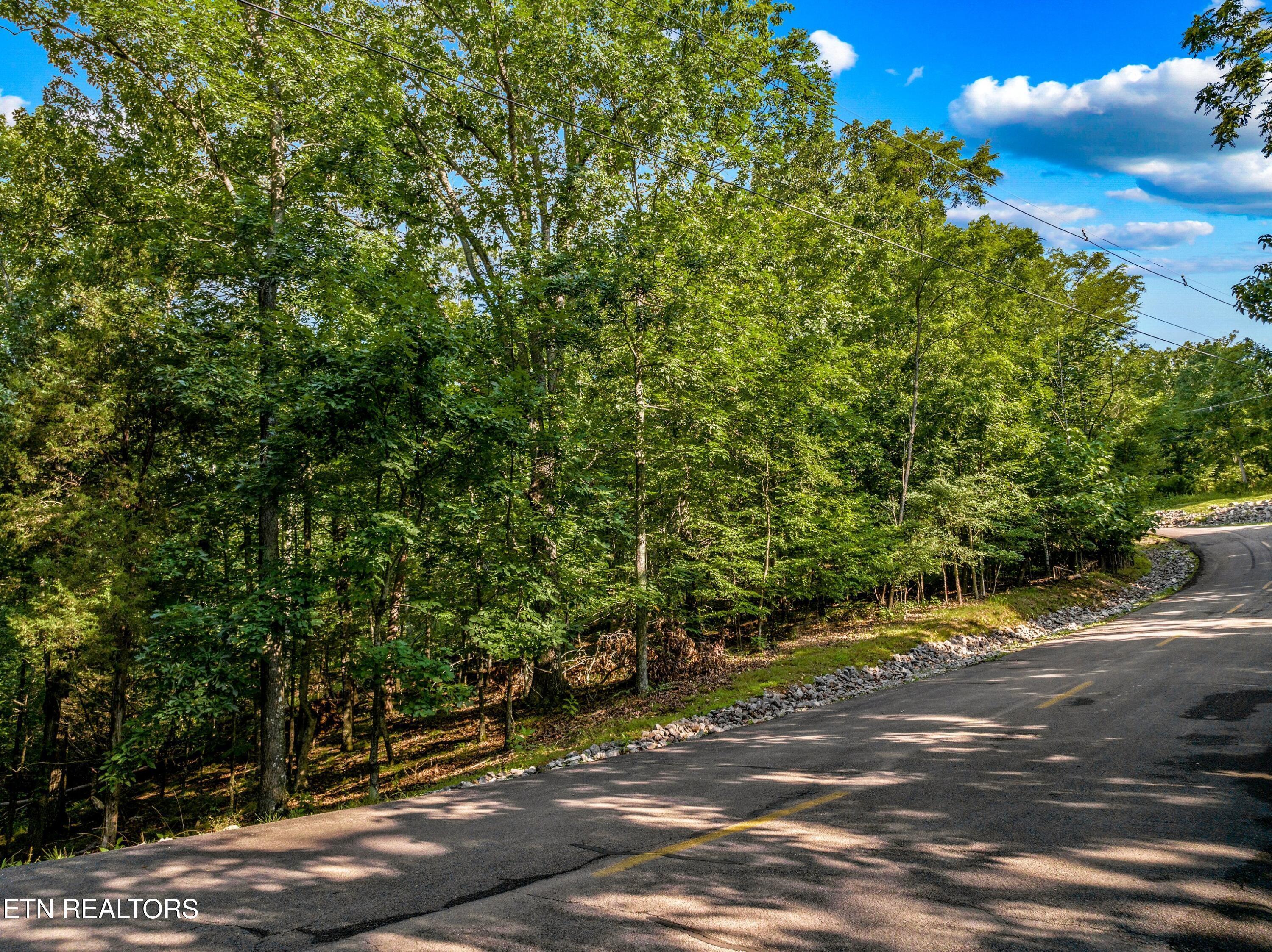 Image 3: 003-1308MuskogeeDrive-Mooresburg-TN-3781
