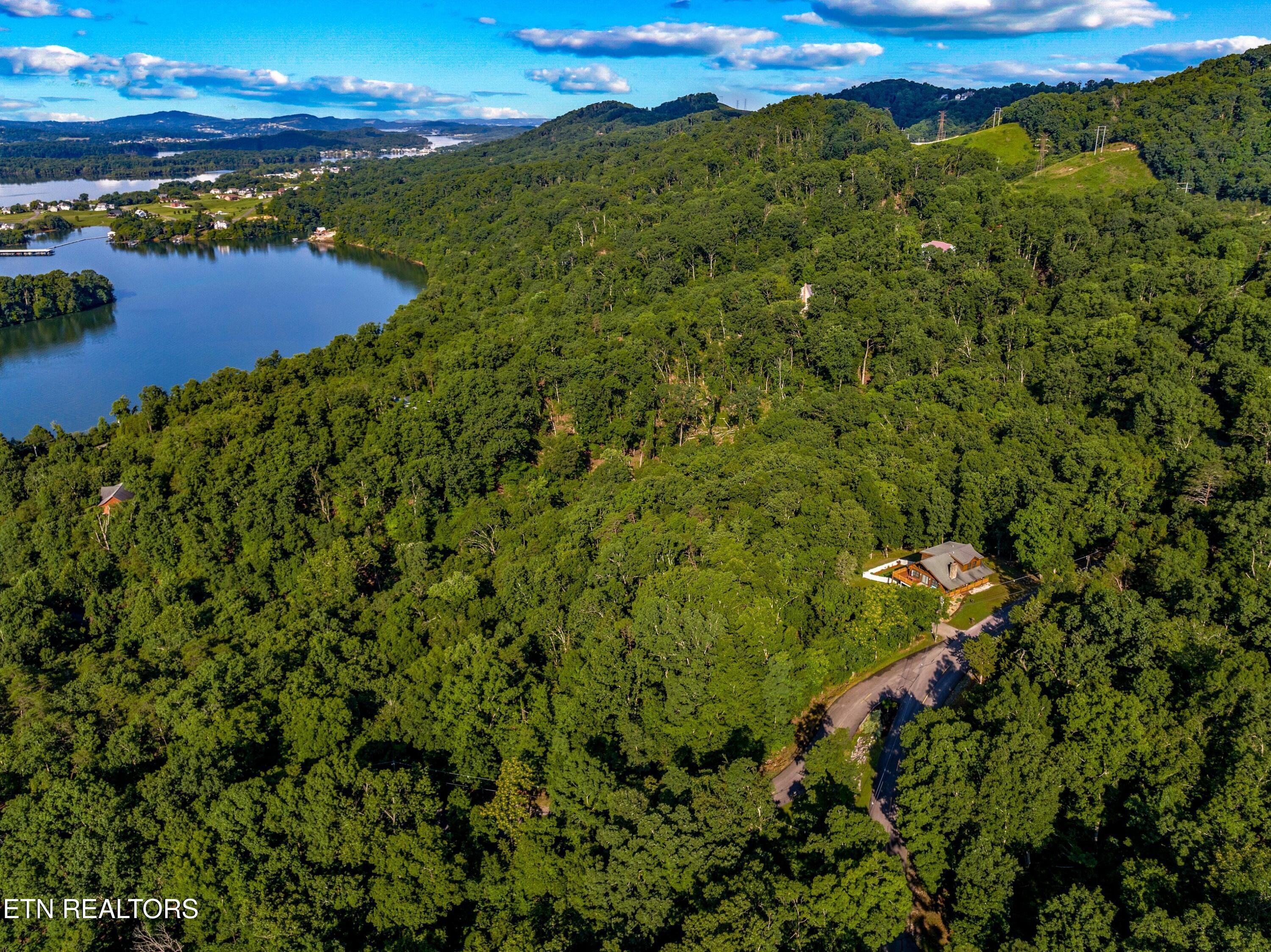 Image 4: 004-1308MuskogeeDrive-Mooresburg-TN-3781